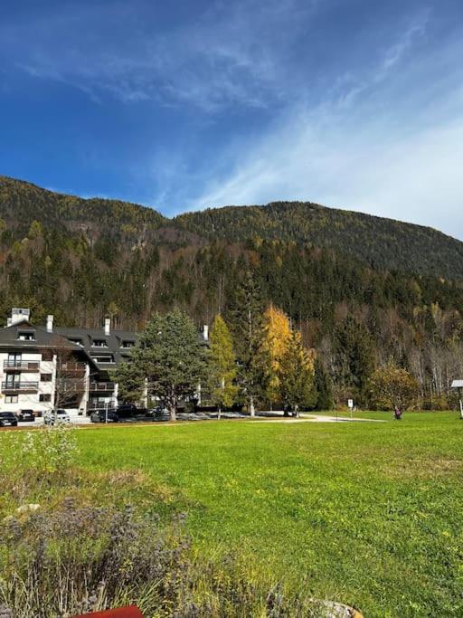 Golden Hour Apartment Kranjska Gora Esterno foto